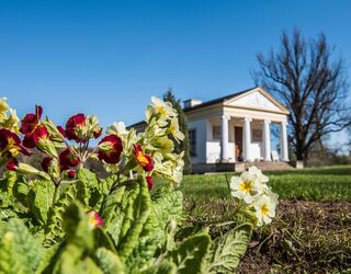 Roemisches Haus im Park an der Ilm Bunte Blumen im Vordergrund, während ein klassisches Gebäude mit Säulen und einer Treppe im Hintergrund sichtbar ist.