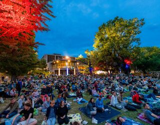 Begeisterte Menschen genießen das Open-Air-Konzert im Freien Eine große Menschenmenge sitzt auf Decken im Freien, umgeben von Bäumen, während ein Konzert bei Dämmerung stattfindet.