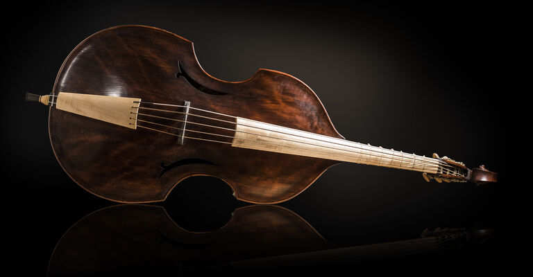 Alte_Musik_Violone_4_Foto_Guido_Werner.jpg