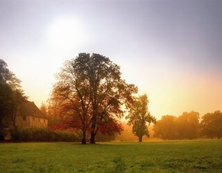 Goethe Gartenhaus, Foto: Toma Babovic, Klassik Stiftung Weimar