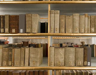 Anna Amalia Bibliothek Ein Blick auf ein Bücherregal mit zahlreichen antiquarischen Büchern, die sorgfältig sortiert und in einem hellen Raum platziert sind.