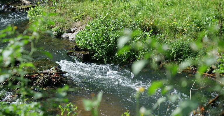 Ilmpark_Franziska_Epp (2).JPG