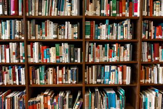 Ausschnitt eines Bibliotheksregals, gefüllt mit Büchern, Symbolbild
