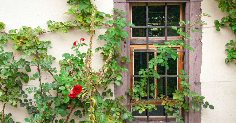 Goethe und Christiane 2.jpg