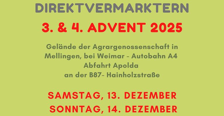 Flyer Weihnachtsmarkt 2025 vorne.jpg