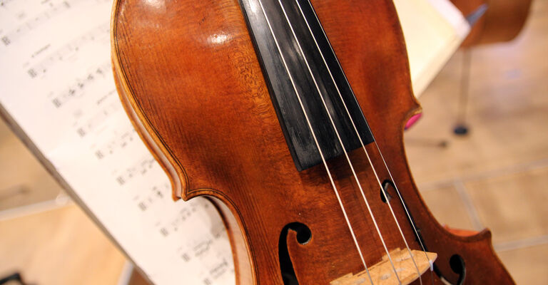 Viola_3_Foto_Jan_Kreyßig.jpg