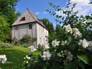 Park an der Ilm Ein hübsches, helles Haus mit Holzdetails, umgeben von blühenden Pflanzen und einem klaren, blauen Himmel im Hintergrund.