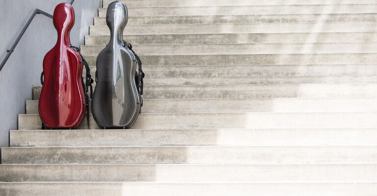 Violoncello_Foto_Guido_Werner.jpg