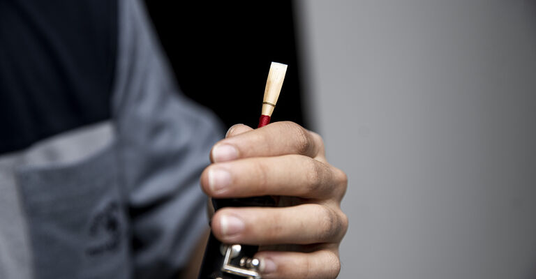 Oboe_Foto_Guido_Werner.jpg