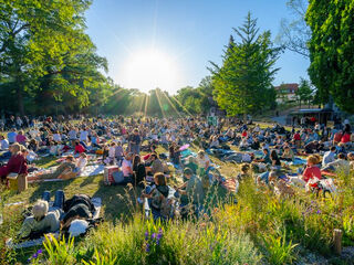 Konzertnacht Bella Italia Eine große Menschenmenge sitzt auf einer Wiese im Weimarhallenpark, umgeben von Bäumen, während die Sonne strahlend am Himmel aufgeht.