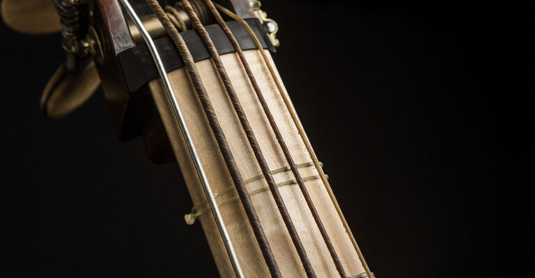 Alte_Musik_Violone_3_Foto_Guido_Werner.jpg
