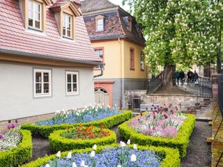 Wittumspalais Ein idyllischer Ausblick auf einen blühenden Garten, der mit bunten Pflanzen und einem historischen Gebäude harmoniert.