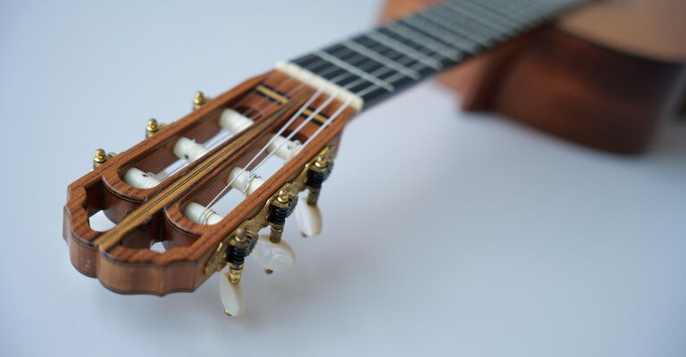 Gitarre_Franziska_Epp_1.jpg