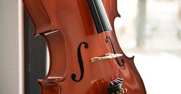 Violoncello_Franziska_Epp_4.jpg