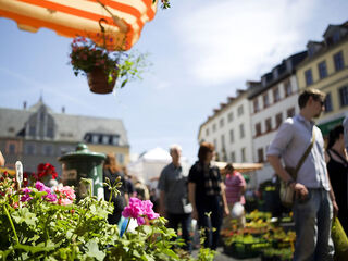 Blumenmarkt in Weimar Bunte Blumen in einem Marktstand, während Menschen im Hintergrund fröhlich umhergehen und die Atmosphäre genießen.